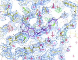 Elektrontetthets-diagram for en av de nye inhibitorene vi utviklet