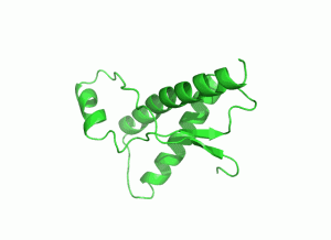 Slik ser det korrekt foldede prionproteinet fra ku ut